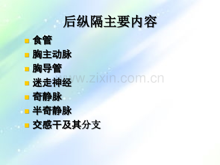 后纵隔肿瘤影像表现-PPT.ppt_第2页