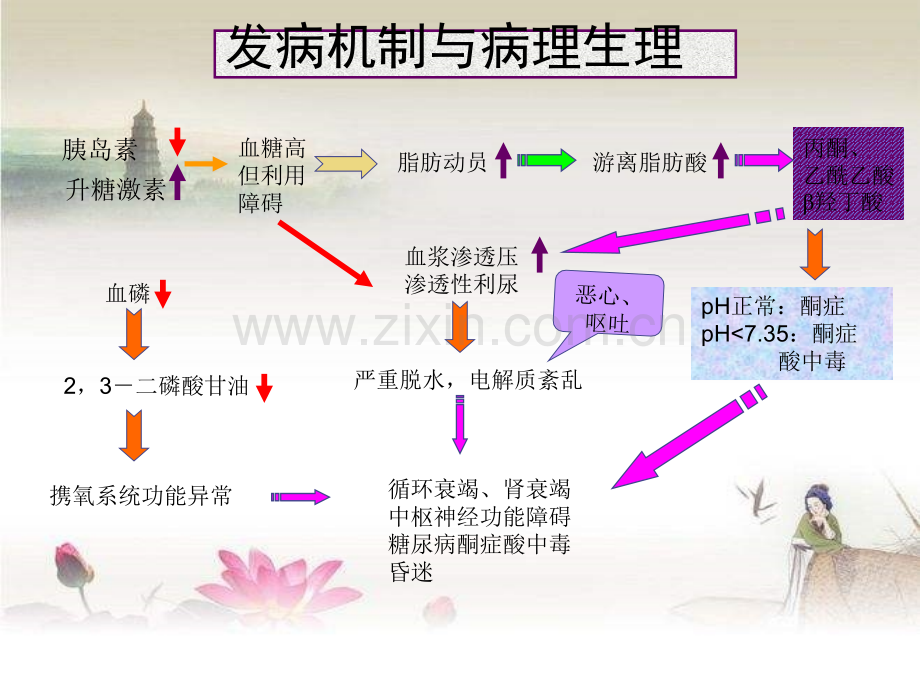 糖尿病酮症酸中毒与高渗性昏迷ppt.ppt_第3页