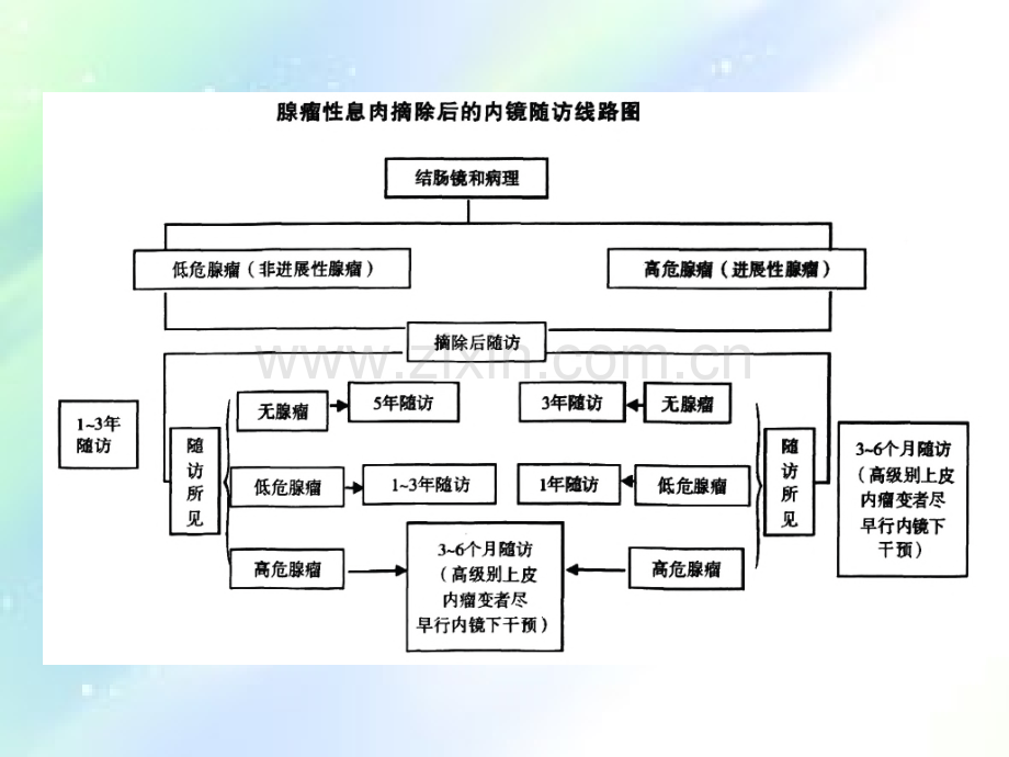 中国结直肠肿瘤筛查、早诊早治和综合预防共识意见-PPT.ppt_第2页