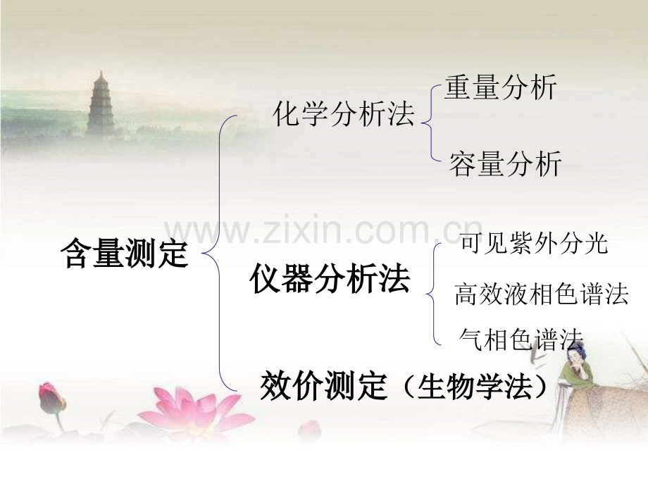 药物的含量测定方法-PPT.ppt_第2页