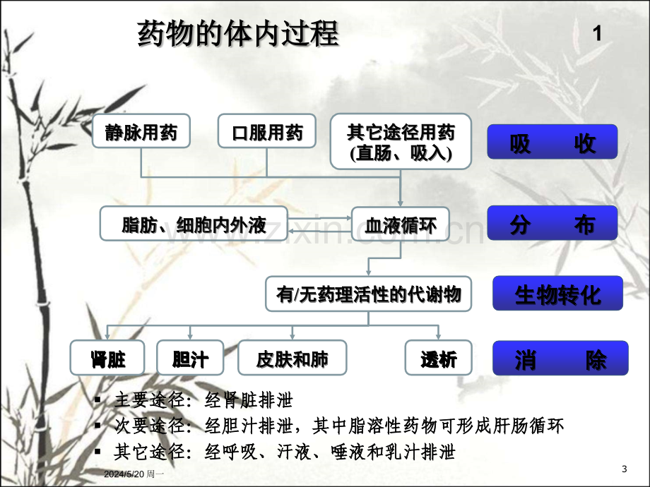 肾功能不全患者的合理用药ppt.ppt_第3页