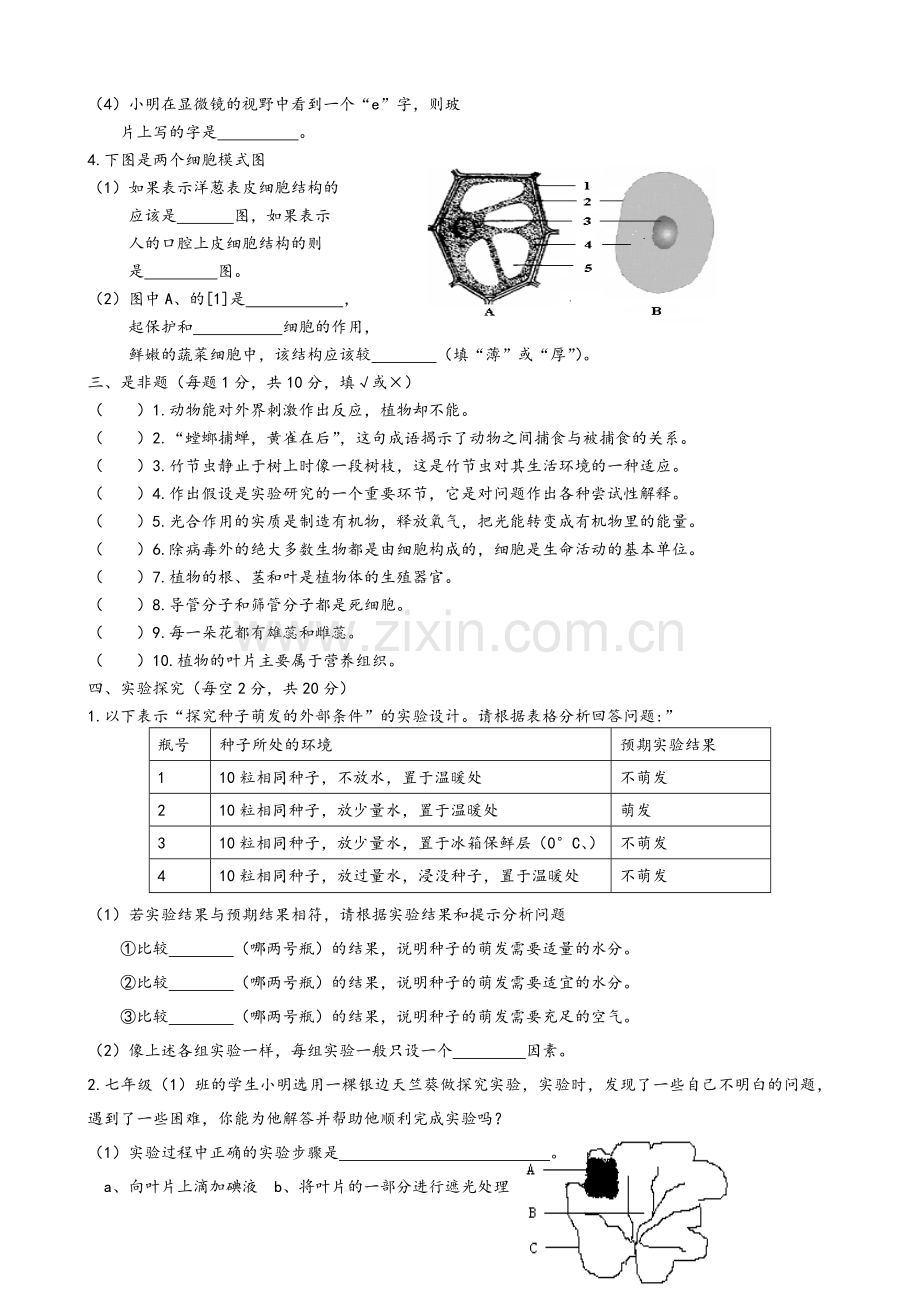 北师大版七年级生物上册期末试卷.doc_第3页