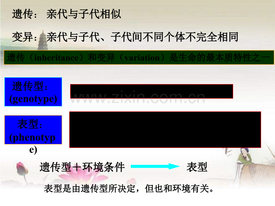 微生物遗传变异-PPT.ppt_第3页