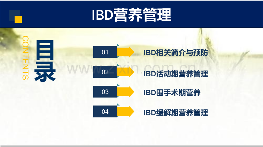 IBD的营养管理-PPT.pptx_第2页