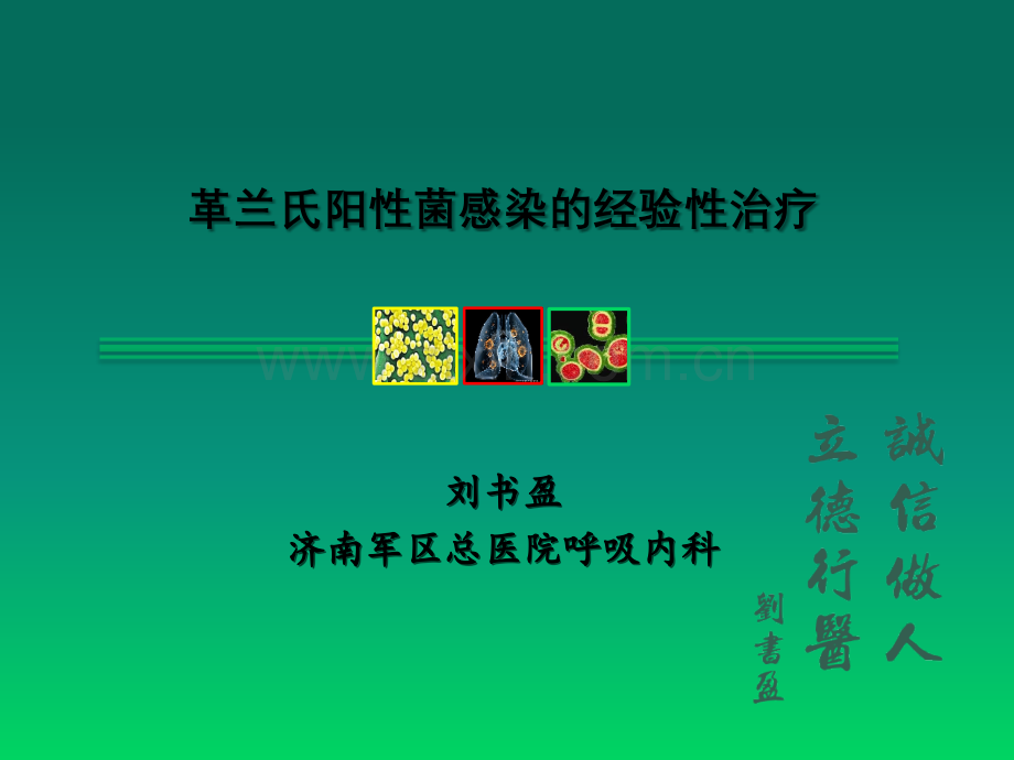 革兰氏阳性菌感染的经验性治疗ppt.ppt_第1页