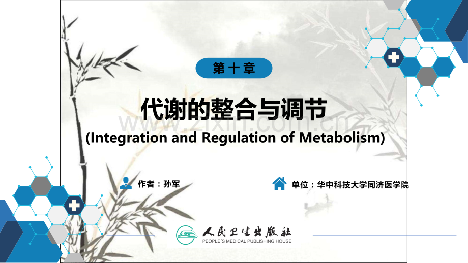 生物化学及分子生物学(人卫第九版)-10代谢的整合与调节ppt.ppt_第1页