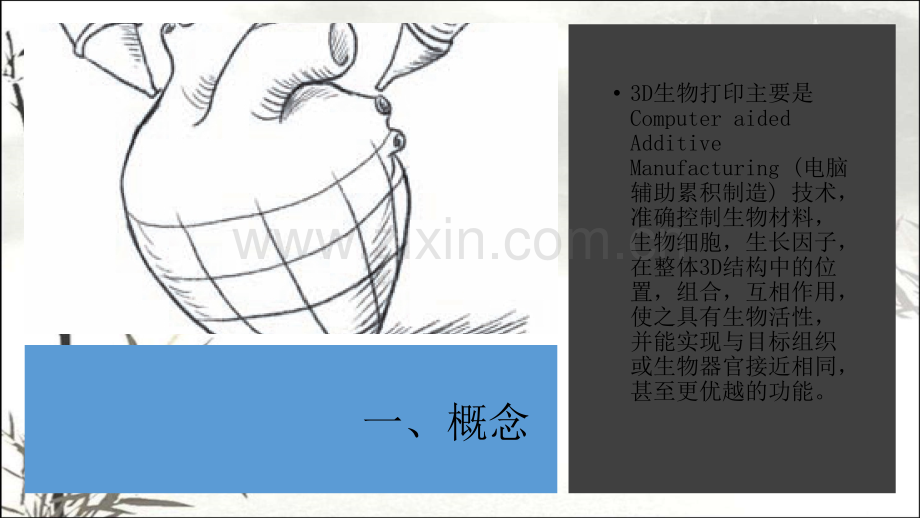 3D生物打印技术ppt课件.ppt_第3页