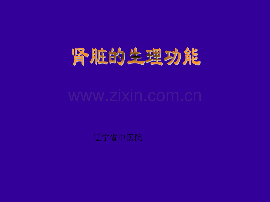 肾脏生理功能ppt.ppt_第1页