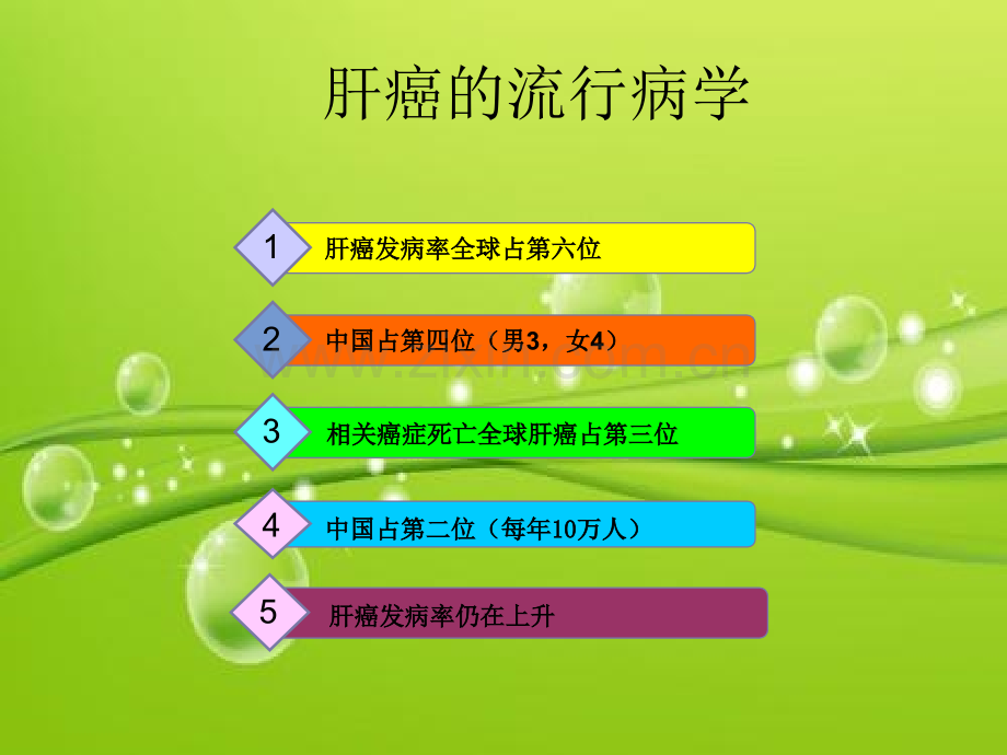 肝癌的氩氦刀消融治疗PPT.ppt_第3页