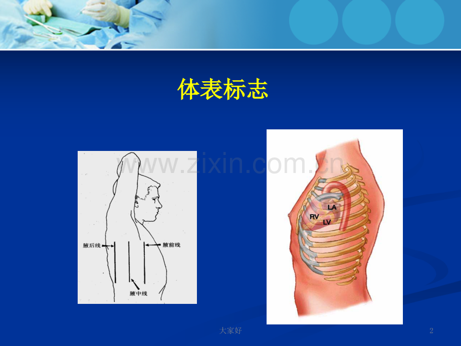 心内科体格检查-PPT.ppt_第2页