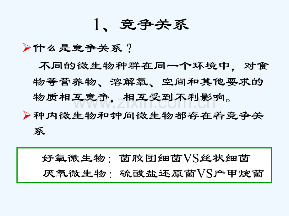 微生物之间的关系-PPT.ppt_第3页