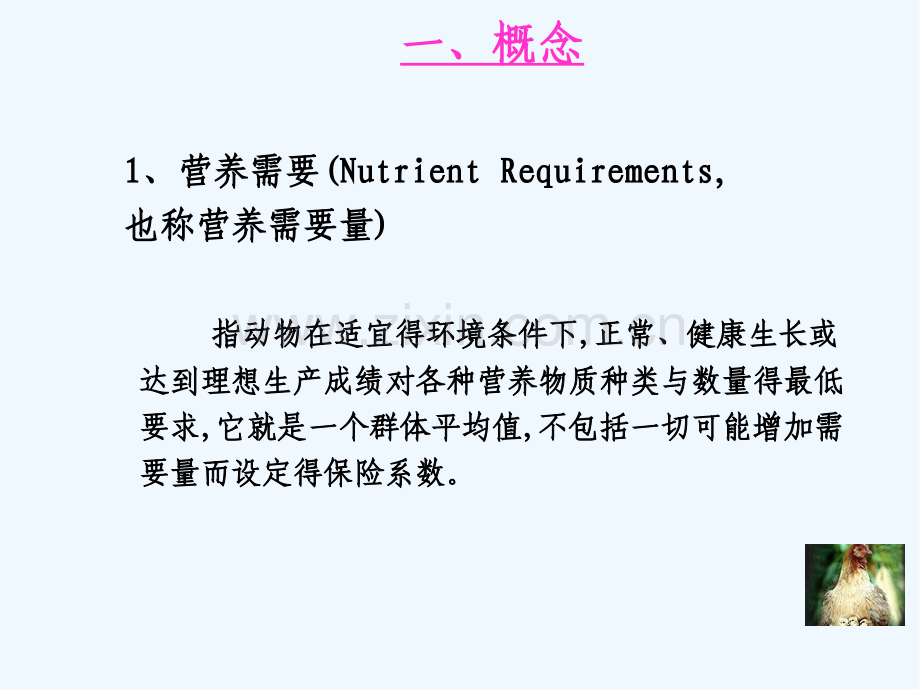 动物营养与饲料学课件.pptx_第3页