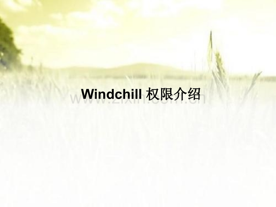 Windchill权限介绍ppt.ppt_第1页