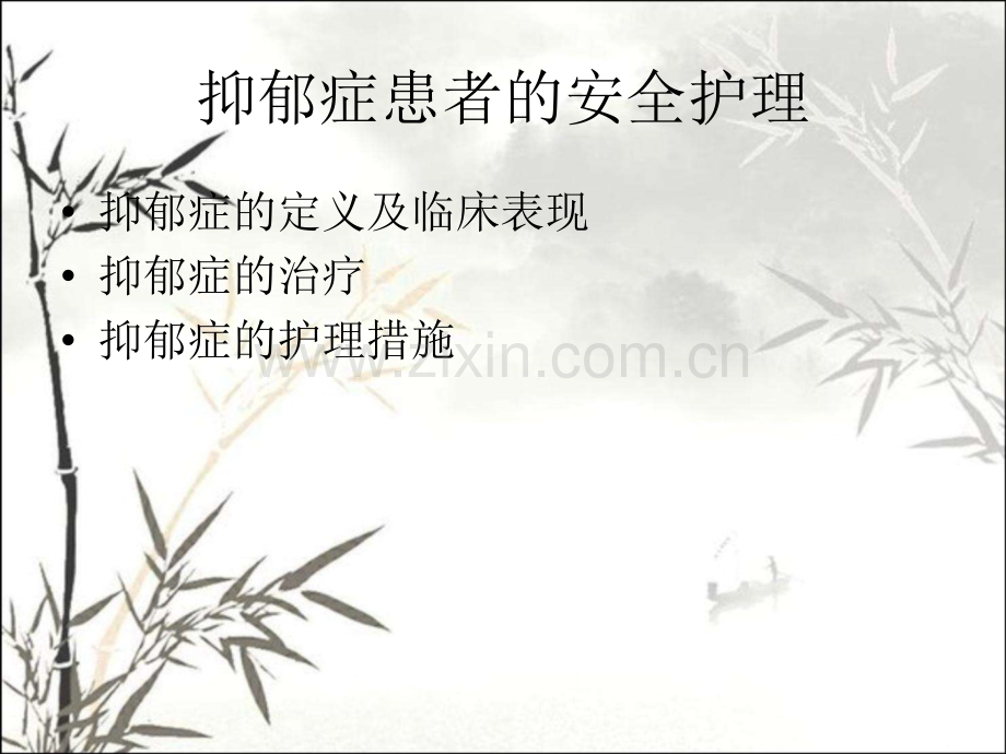 抑郁患者的安全护理-PPT.pptx_第2页