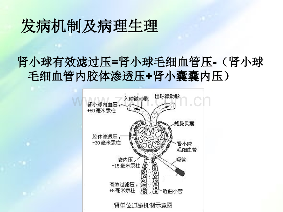 急性肾损伤与血液净化治疗-PPT.ppt_第3页