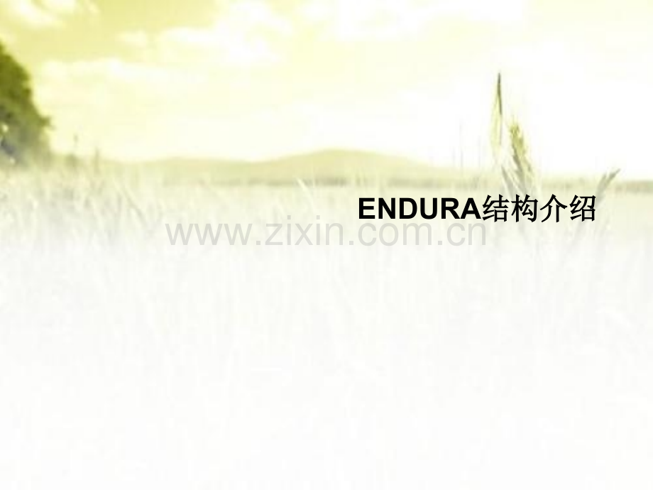 ENDURA结构介绍ppt.ppt_第1页