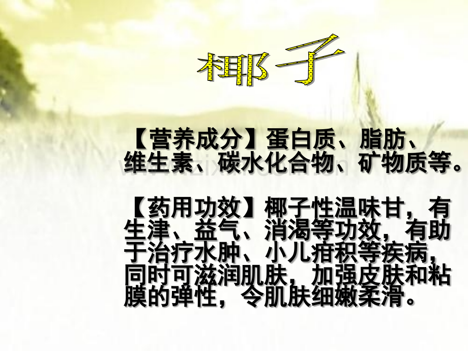 常见各种水果的营养与功效ppt.ppt_第3页