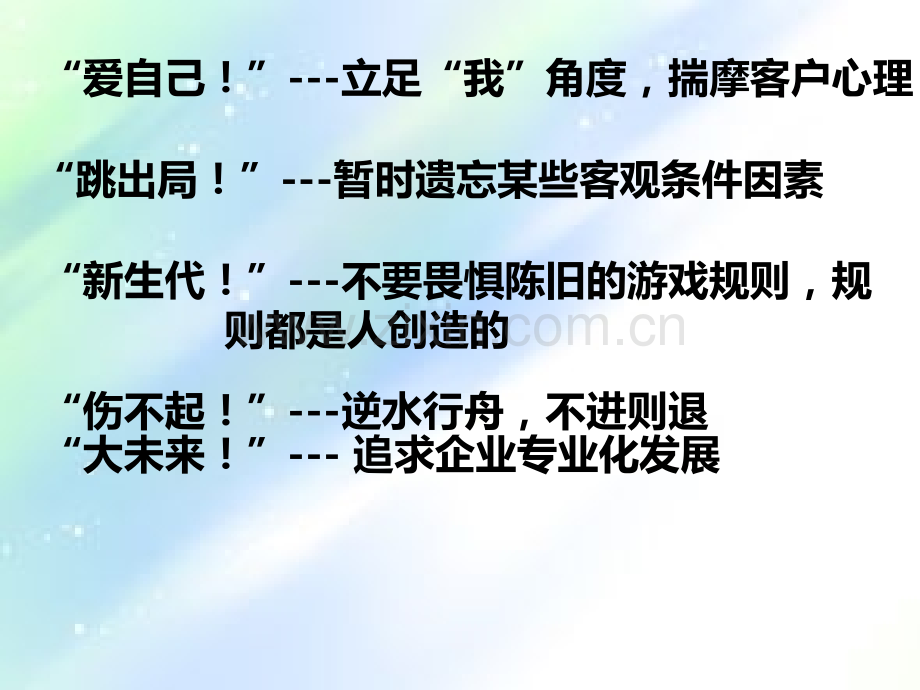 物业管理方案.ppt_第3页