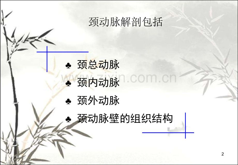 颈动脉的应用解剖ppt.ppt_第2页