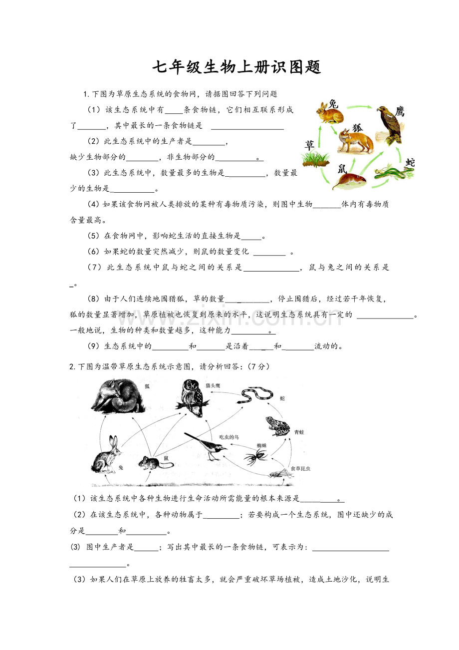 新人教版七年级生物上册识图题.doc_第1页