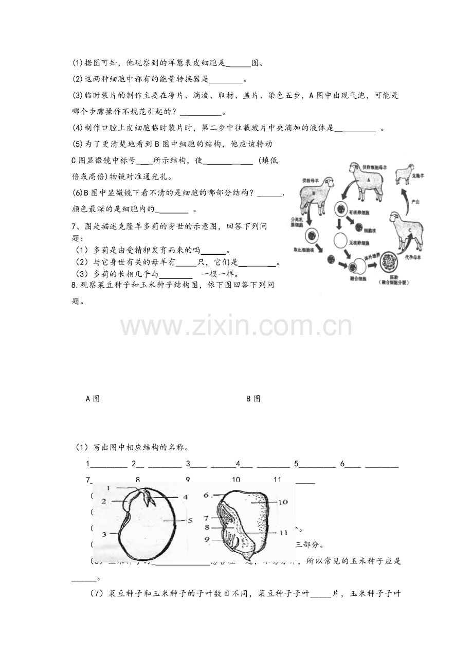 新人教版七年级生物上册识图题.doc_第3页