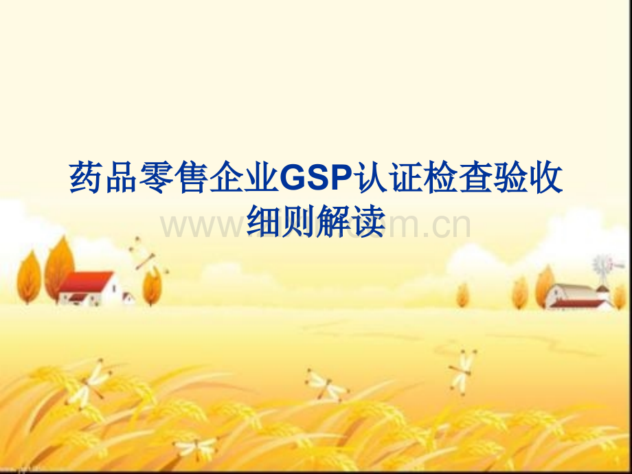 药品零售企业GSP认证检查-PPT.ppt_第1页