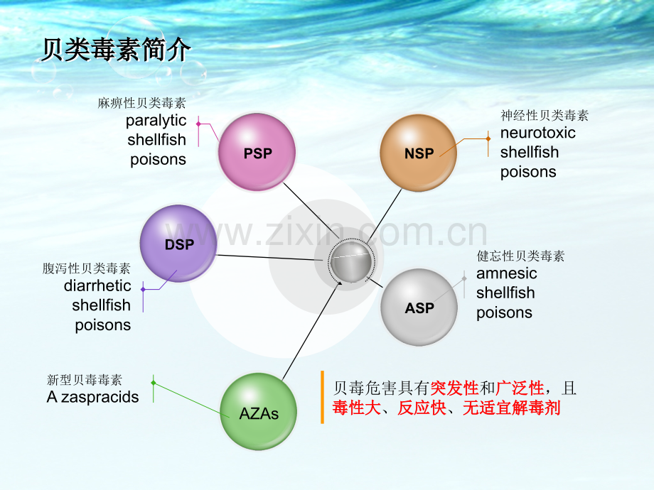 贝类毒素.ppt_第3页