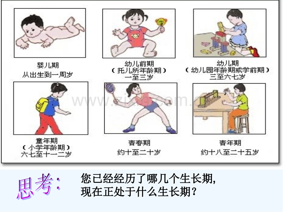 小学生青春期健康知识讲座-PPT.pptx_第2页