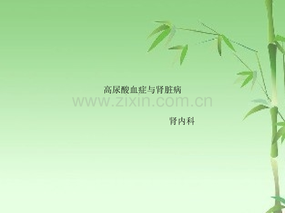 高尿酸血症与肾脏病ppt.ppt_第1页