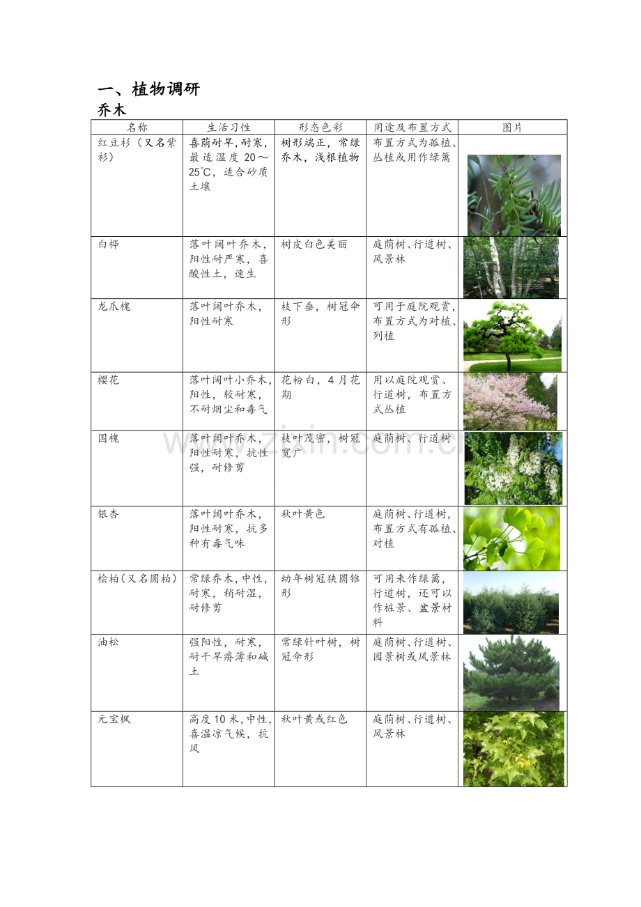 北京植物园调研报告.doc_第1页