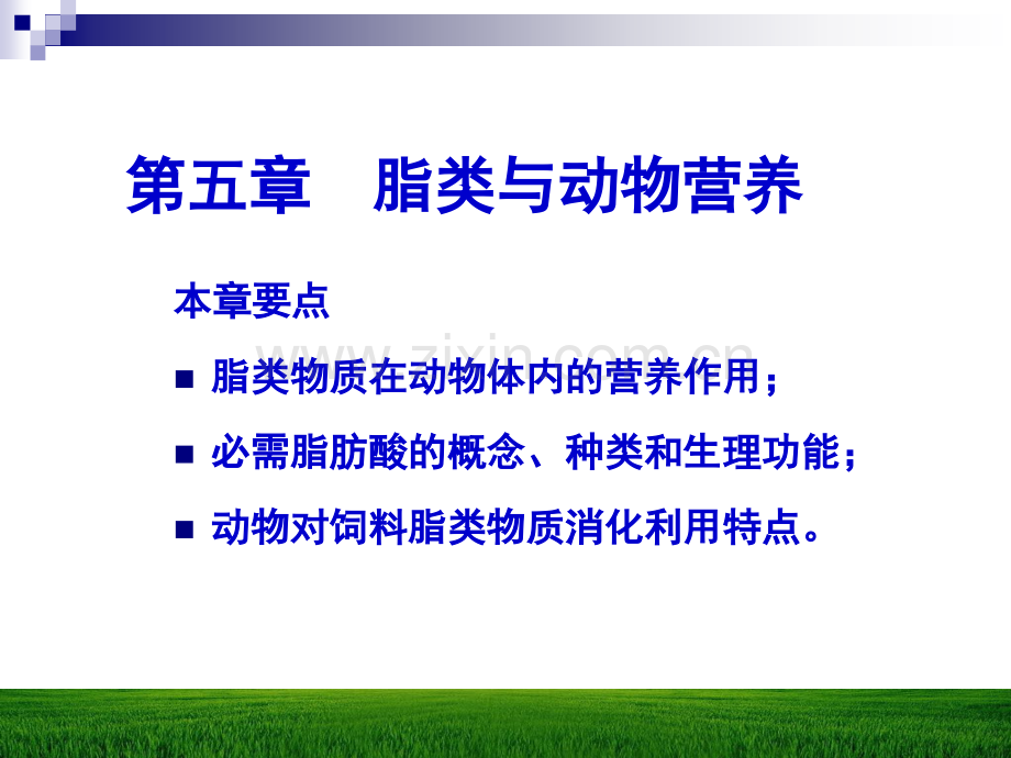 第五章脂类与动物营养.ppt_第1页