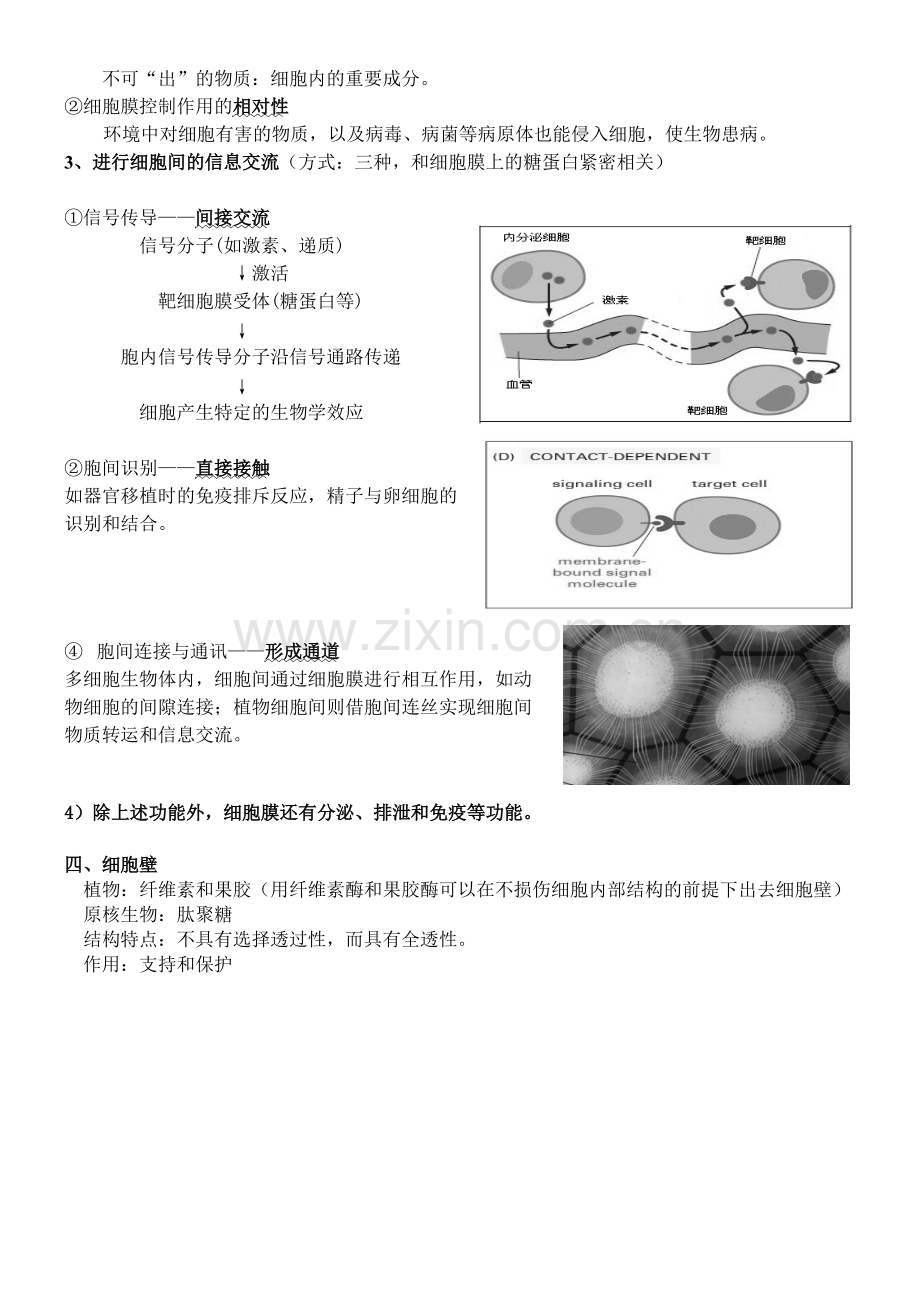 第三章第一节细胞膜——系统的边界知识点总结.pdf_第2页