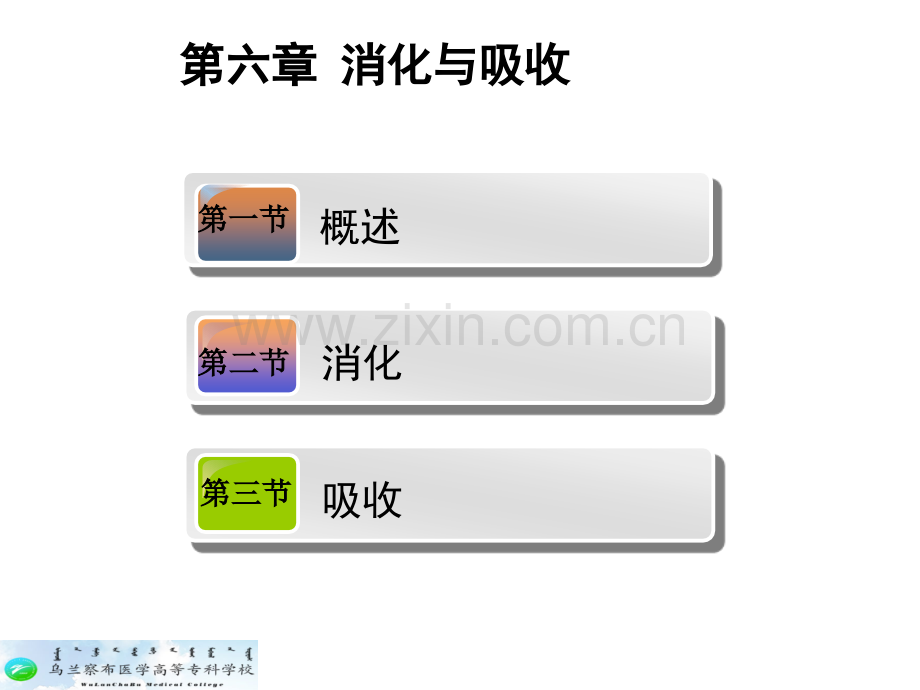 生理学--第六章-消化与吸收-PPT.ppt_第2页