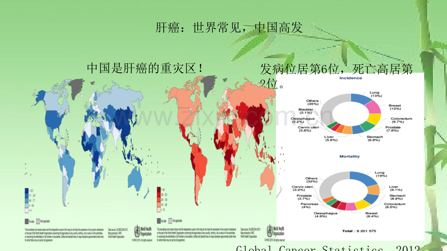 晚期肝癌系统治疗的现状与进展ppt.ppt_第2页