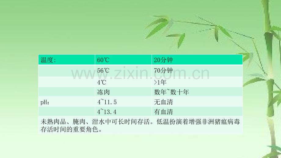 临床病理解剖学非洲猪瘟ppt.ppt_第3页