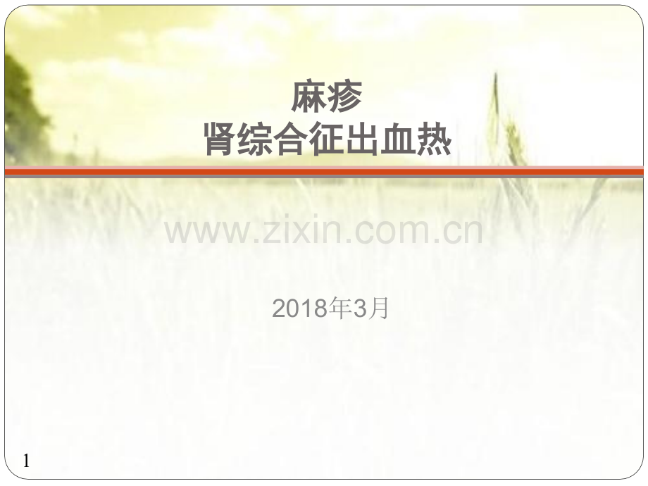 麻疹肾综合征出血热-PPT.ppt_第1页