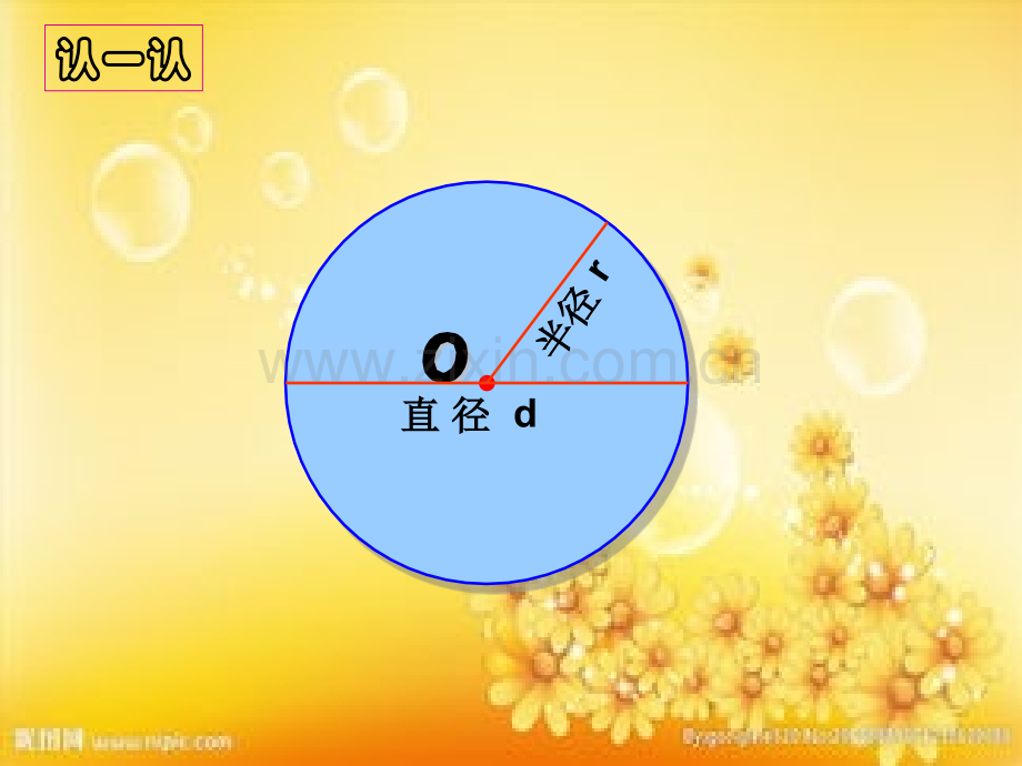 北师大版六年级数学上册专题二-图形与几何.ppt_第2页