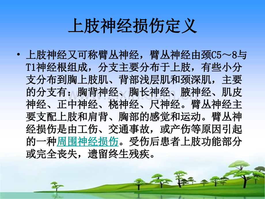 上肢神经损伤的表现及护理-PPT.ppt_第2页