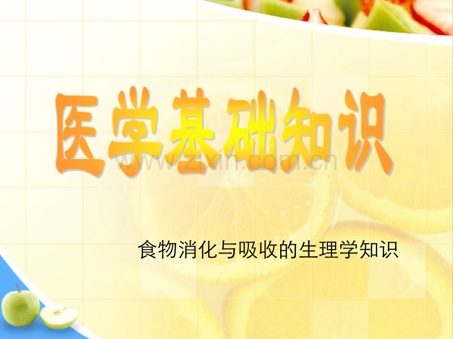 食物消化与吸收的生理学知识-PPT.ppt_第1页