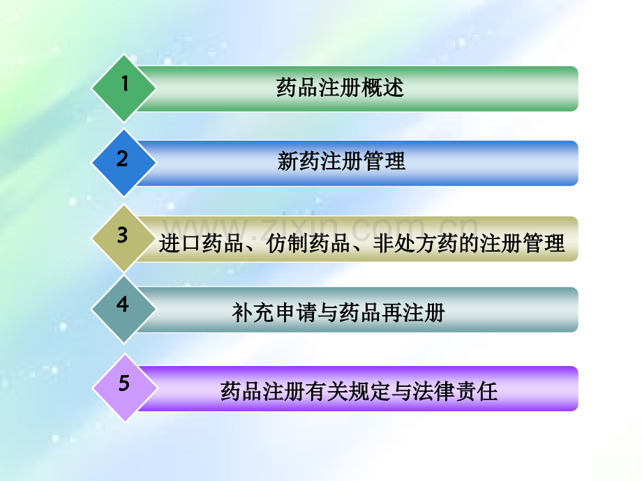 药品注册管理课件ppt.ppt_第3页