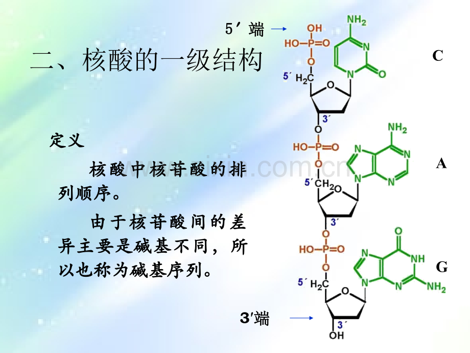 细胞的化学组成-PPT.ppt_第2页