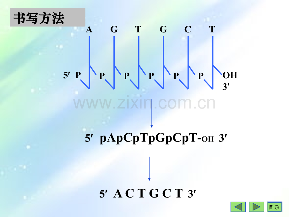 细胞的化学组成-PPT.ppt_第3页