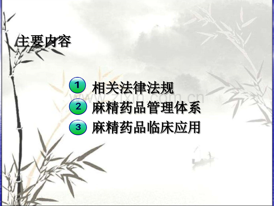 精麻药品知识培训课件-PPT.ppt_第2页