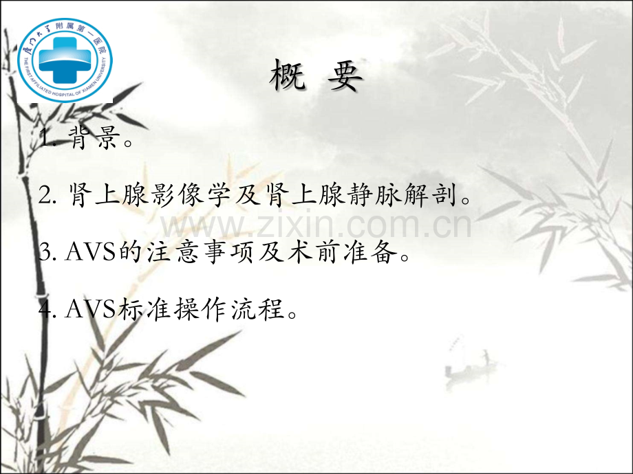 肾上腺静脉取血术及注意事项ppt课件.ppt_第2页