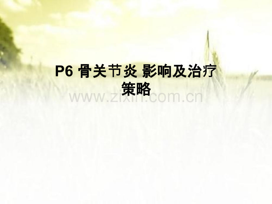 骨关节炎影响及治疗策略-PPT.pptx_第1页