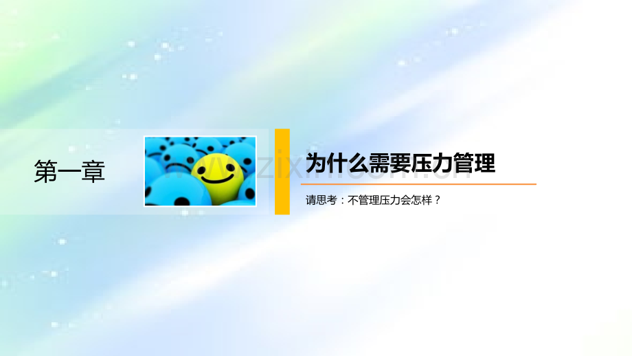 压力管理ppt.ppt_第2页