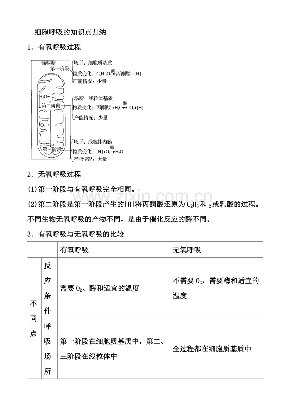 细胞呼吸的知识点归纳复习资料.pdf_第1页