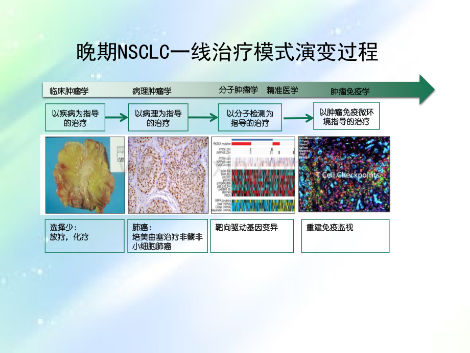 晚期NSCLC一线治疗新进展-PPT.ppt_第2页