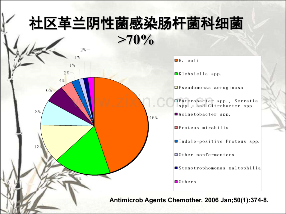 产ESBLs肠杆菌科细菌感染的治疗ppt.ppt_第2页