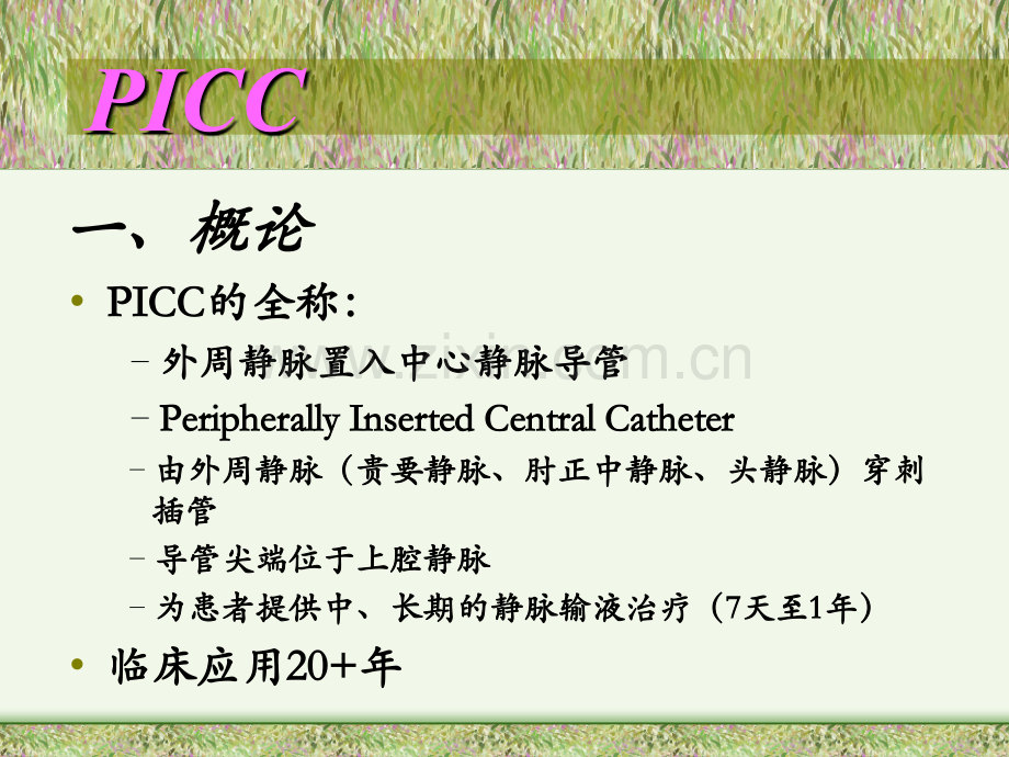 PICC置管术的操作流程及维护.ppt_第2页